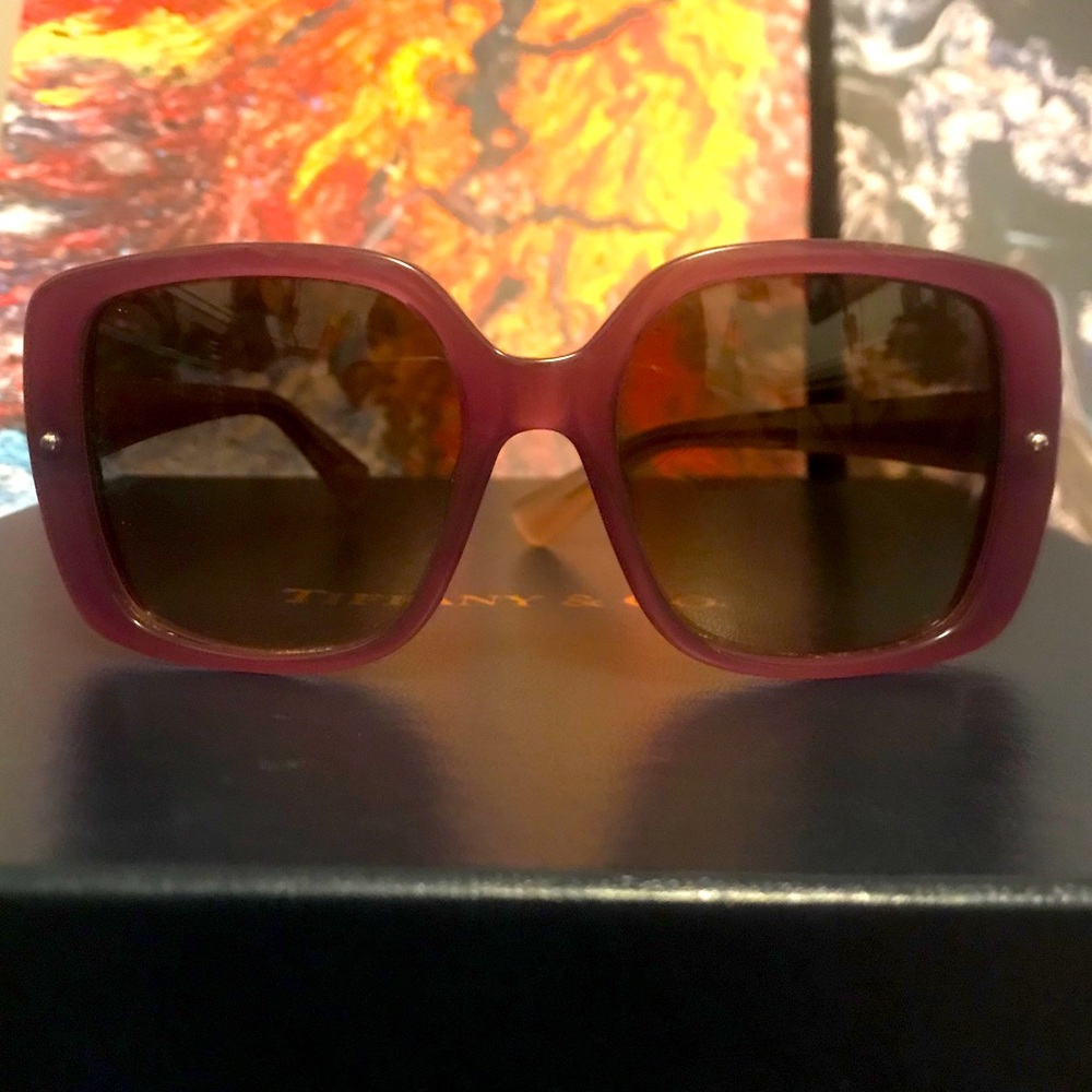 - Limited Edition Dior Jupon 1 Sunglasses EUC